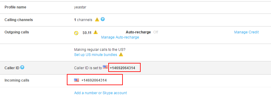 buy skype number