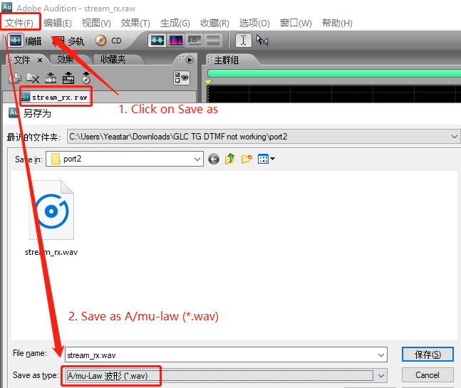 torguard public ip detection failed